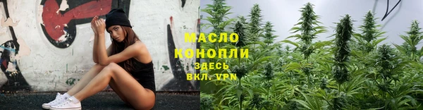 дмт Абаза
