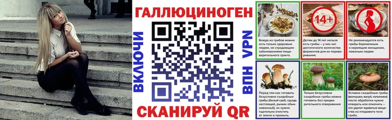 MEGA как зайти  Поворино  Псилоцибиновые грибы мицелий 